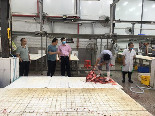 加強監管確保肉品質量安全 縣畜牧獸醫局到縣肉聯廠突擊檢查