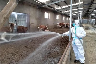 卓資縣農(nóng)牧和科技局開展2023年“大清洗、大消毒”工作