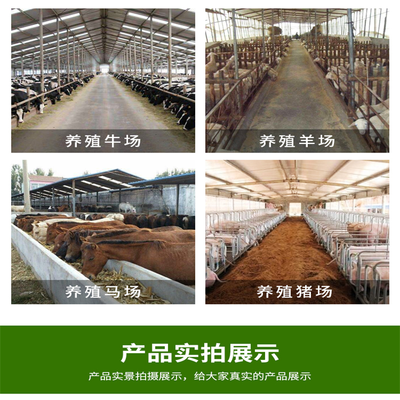 現(xiàn)代化飼養(yǎng)牛羊撒料車 節(jié)能省電養(yǎng)殖喂料車廠家