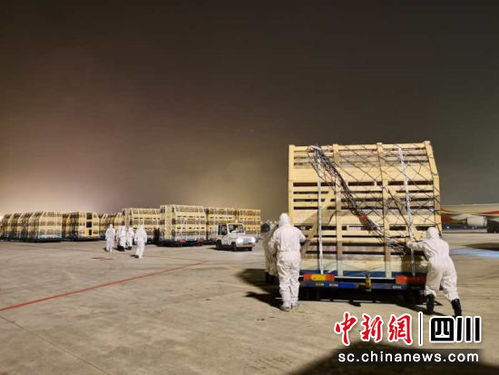 四川近年來最大規(guī)模種豬進境 首批1040頭丹麥種豬落戶宜賓